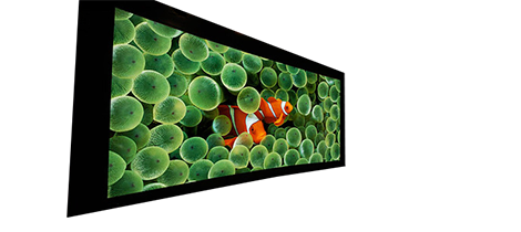 Projector Screens - Premium High Quality